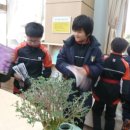 단장골북까페 이미지