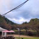 용인에버랜드펜션 이미지