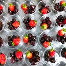 탕정초등학교병설유치원 이미지