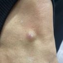 서울진외과의원 이미지