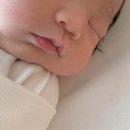 gm산후조리원 이미지