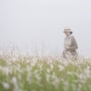 이야기가 있는 풍경 이미지