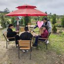 올리농장 이미지