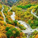 “이 풍경 아무나 못 봐요”… 하루 5천 명에게만 허락된 가을 비경 트레킹 코스 이미지