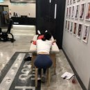 릴리(Lily) 이미지