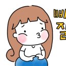 펫마트대전