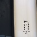 솔트스테인(Saltstain) 이미지