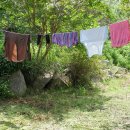 합천이모 이미지