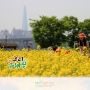 갈매광장_애비뉴거리 이미지