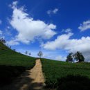한국차소리공원주차장 이미지