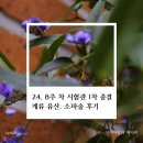 미라클의원 | 24. 출혈 후 8주 차 계류 유산, 미라클 여성의원 소파술 후기