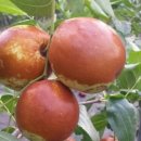 승기농장 이미지