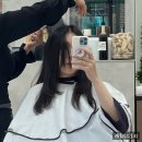 신논현역 미용실 추천 박준뷰티랩 예은 디자이너 복구펌 후기