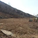 송도로공인중개사사무소 이미지