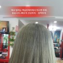 에쉬헤어샾 이미지