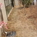 (주)트랜지 이미지