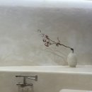 객리장 | 전주 객리장 숙소 후기, 아이들과 머문 객리단길 풀빌라