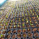 장포농장 이미지