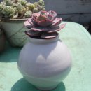 튀는아이들 이미지