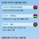 미미푸드 이미지