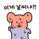 먹새통 - 춘천시 스무숲길 17 | 먹새통