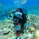 와따개 | 오키나와 여행에서 거북이 만나고 싶다면? 한국어 스노클링·다이빙 추천!