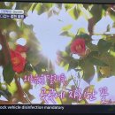 서가네식당 이미지