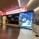 네이쳐캠프70s 1 | 체험형 대형 동탄 키즈카페 네이처스케이프 플러스 7살, 4살 후기 할인 및 내부 식당 정보 포함