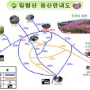 제490차 보성군 일임산 철쭉산행 정기산행 이미지