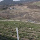 운산주유소 이미지