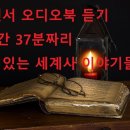 편하게 듣는 2시간 37분짜리 오디오북: 세계사, 전쟁사, 전쟁 이야기 이미지