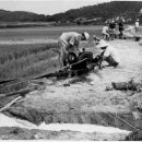 보리타작 이미지