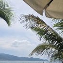 꼬동게스트하우스 이미지