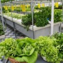 수경목장 이미지