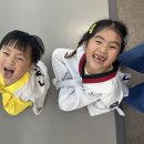 새담태권도장 이미지