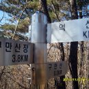 춘식이네 이미지