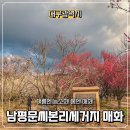 본리밭마경로당 | [대구광역시] 달성군 가볼 만한 곳, 남평문씨본리세거지 매화