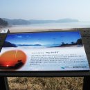 먼동,해녀마을 해삼,전북 양식장에서 해녀체험 출사사진촬영,1 이미지