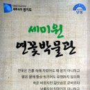 세미원 연꽃박물관 이미지