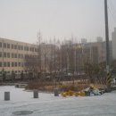 동산중학교 이미지