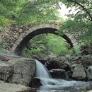 순천-57호 이미지