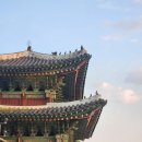 밤을 걷는 역사 여행, 창경궁 야간 궁궐투어 후기 (ft. 황인혁 교수님 인문학 산책)