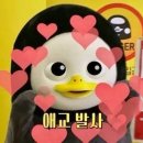 신영로 네이버블로그