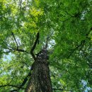 금촌유아숲체험원 이미지