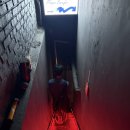 용산-427 | [리뷰] 이태원 분위기 좋은 술집 <더맙> 후기 | 수제소시지 맛집