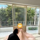 보다연희재 토탈 스튜디오 제이스포사 드레스 이모님 후기