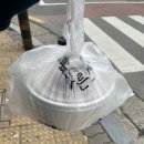 육회바른연어청주강서점 | 청주맛집: 육회바른연어 청주강서점 흥덕구 New 맛집