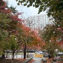 우리은행 횡단보도 | 송파구 장지역 새로운 웨딩홀 오픈! 부케 받은 후기-엘로라인가든