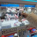 뽑아가유 이미지