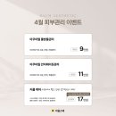 라움스떼
